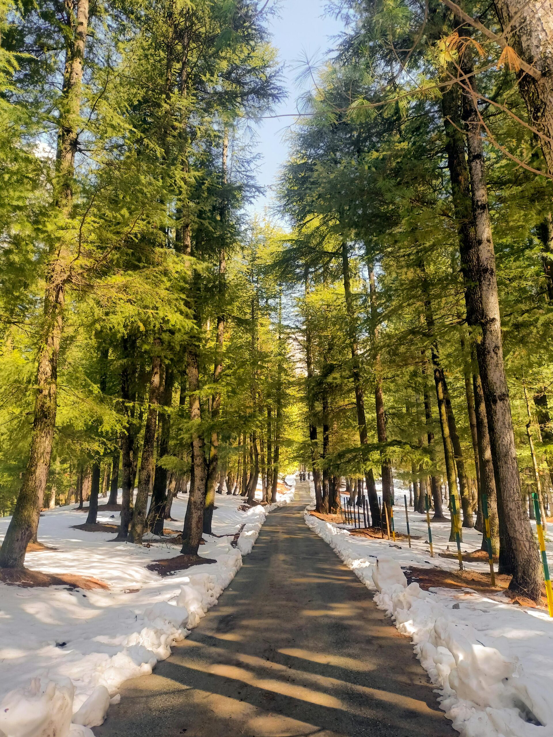 pexels sheikh basharat 33843080 31166127 scaled.jpg